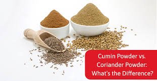 Coriander Cumin Powder